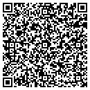 QR code with Pyramid Control contacts