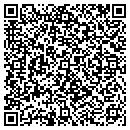 QR code with Pulkrabek Law Offices contacts