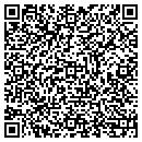 QR code with Ferdinandi Lisa contacts