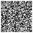 QR code with Precious Island contacts