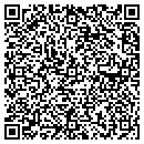 QR code with Pterodactyl Toys contacts
