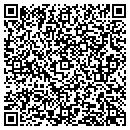 QR code with Puleo Electrical Contr contacts