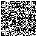 QR code with Bvtm contacts