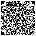 QR code with Dig-It contacts