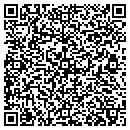 QR code with Professional Electronic Systems contacts