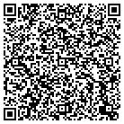 QR code with Blimpie Subs & Salads contacts
