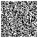QR code with Baldelli Electric Inc contacts