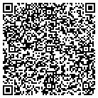 QR code with Pulaski Elementary School contacts