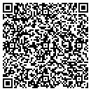 QR code with City Of Summersville contacts