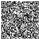 QR code with Professional Search contacts