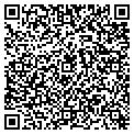 QR code with Hvsllc contacts