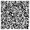 QR code with M G S contacts