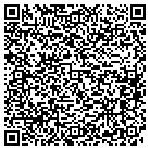 QR code with Pulcinella Pizzeria contacts
