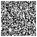 QR code with Carver Sean J contacts