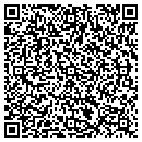 QR code with Puckett Power Systems contacts