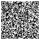 QR code with Blue Ribbon Realty LLC contacts