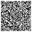 QR code with Primary Dilemma LLC contacts