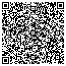 QR code with Pyle Tiffany A contacts