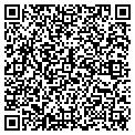 QR code with Hoffer contacts