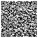 QR code with County of Delaware contacts