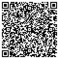 QR code with Pavel contacts