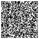 QR code with Pyrch Matthew J contacts