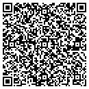 QR code with Catelli William F DDS contacts