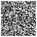 QR code with Public Works contacts