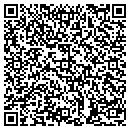 QR code with Ppsi Inc contacts