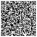 QR code with Baumgartner Amie L contacts