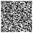 QR code with Pyles Turner & Mick Llp contacts