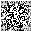 QR code with Bison Electric contacts