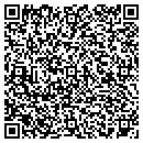 QR code with Carl Electric CO Inc contacts