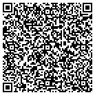QR code with Babcock Brad R DDS contacts
