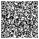 QR code with Procino Wells LLC contacts