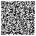 QR code with Daltile contacts
