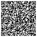 QR code with County Of Pulaski contacts