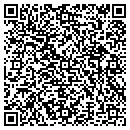 QR code with Pregnancy Resources contacts
