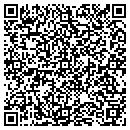 QR code with Premier Auto Plaza contacts