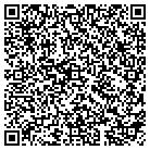 QR code with Pulpit Rock Church contacts