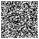 QR code with Young Lisa A contacts