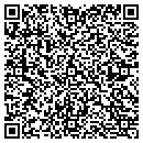 QR code with Precision Electric Inc contacts