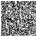 QR code with Pv Iv Ceo Fund Lp contacts