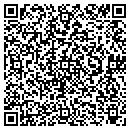 QR code with Pyroguard Alarms LLC contacts