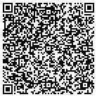 QR code with Pumpkin Patch Primitives contacts