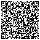 QR code with Cybex Financial Inc contacts