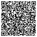 QR code with Sibs contacts