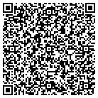 QR code with Professional Window Tint contacts