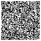 QR code with Pulsar Concepts Inc contacts