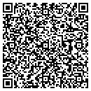 QR code with Protectowire contacts